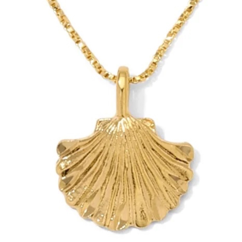 New Vanessa Mooney Shell Pendant Necklace The Lucy Shell Necklac 90$